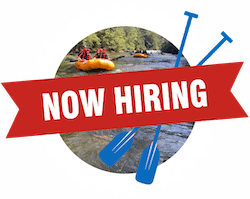 Now Hiring - graphic paddles